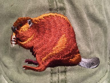 Beaver Embroidered Hat
