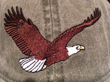 Bald Eagle Embroidered Hat