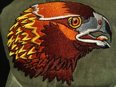 Golden Eagle Embroidered Hat